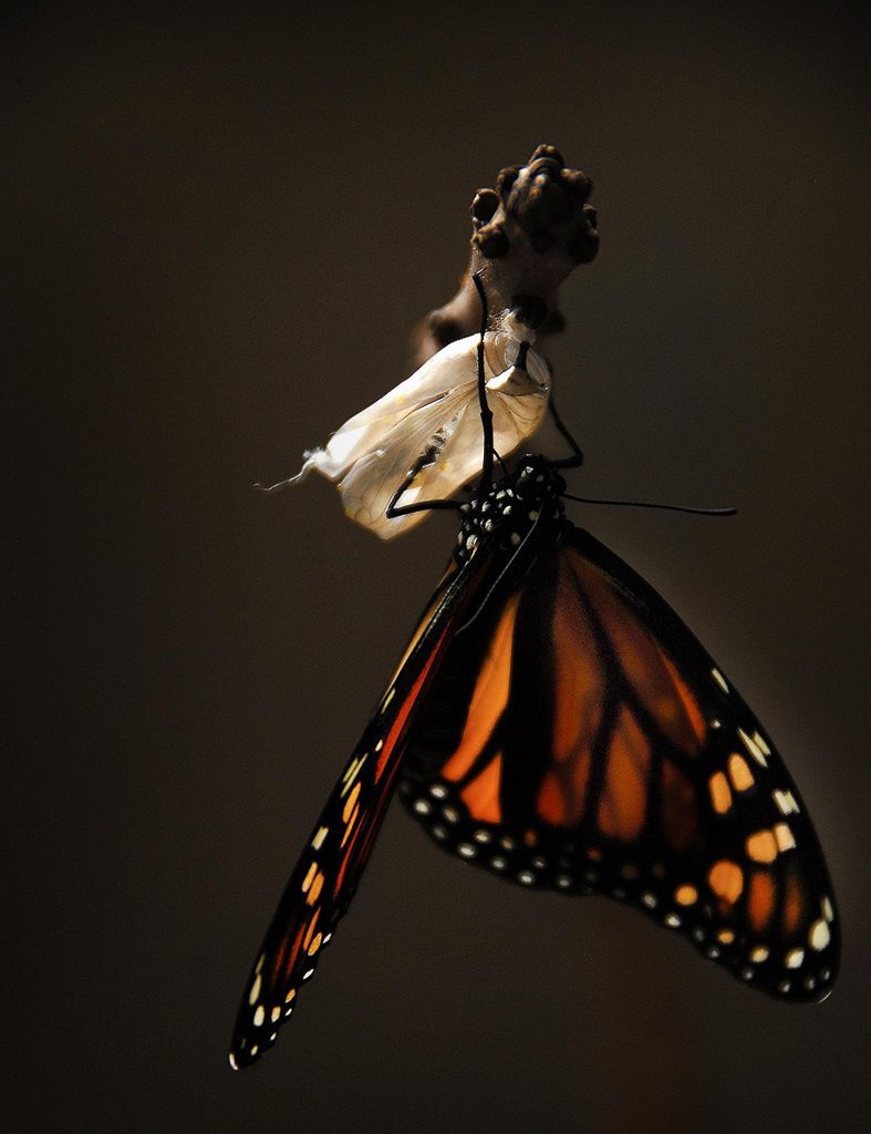Finding normality is possible and wonderful, even if it looks a little different on the other side. We must afford ourselves grace as we find