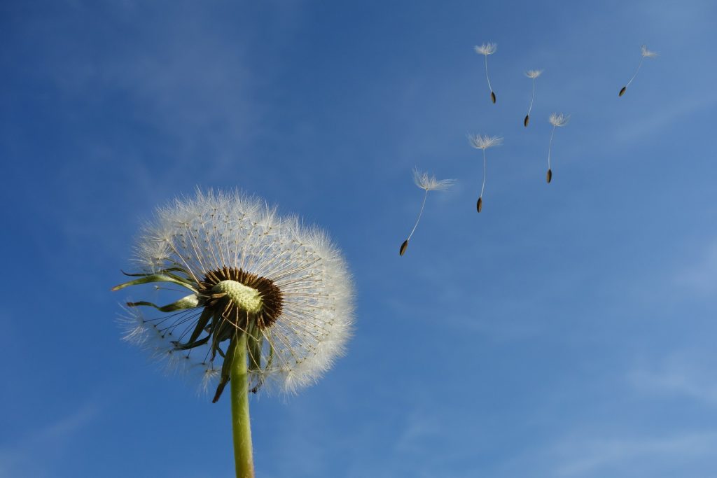 Why we should appreciate the little things in life.