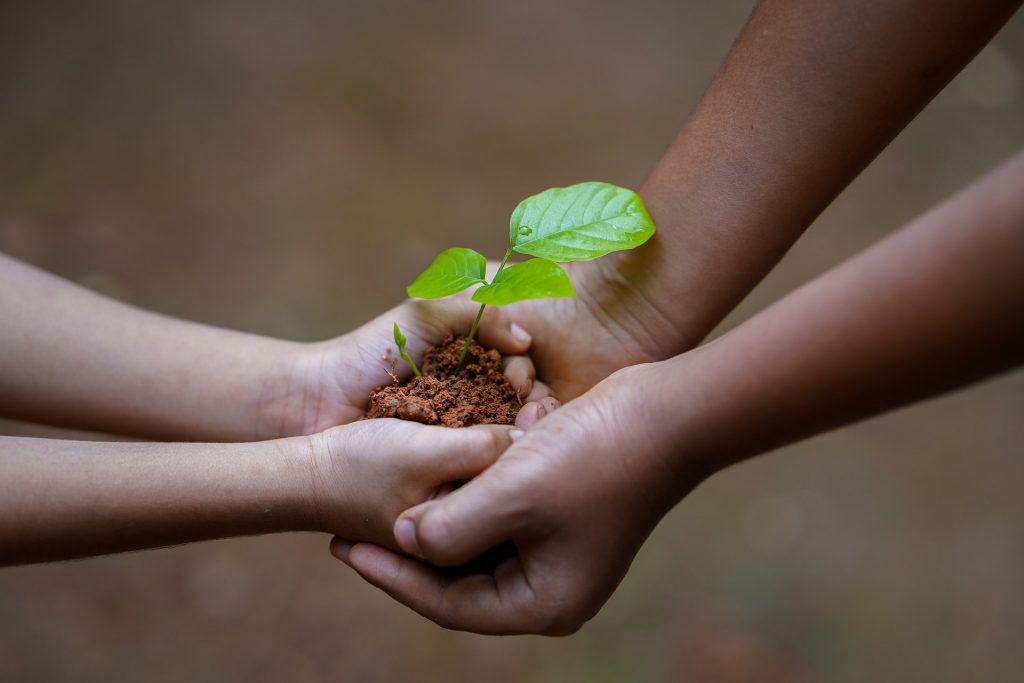 random acts of kindness
